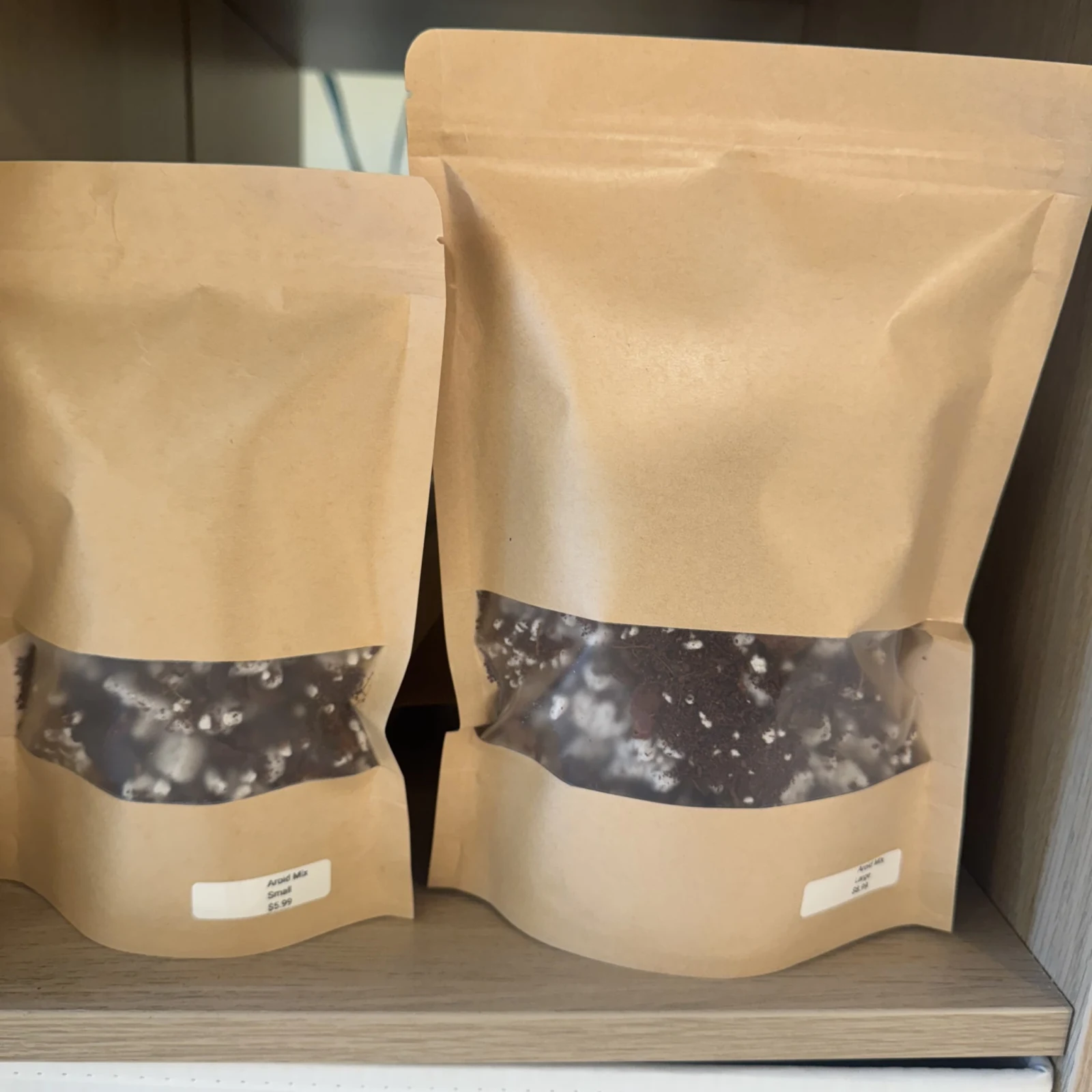 Aroid Mix — image 2