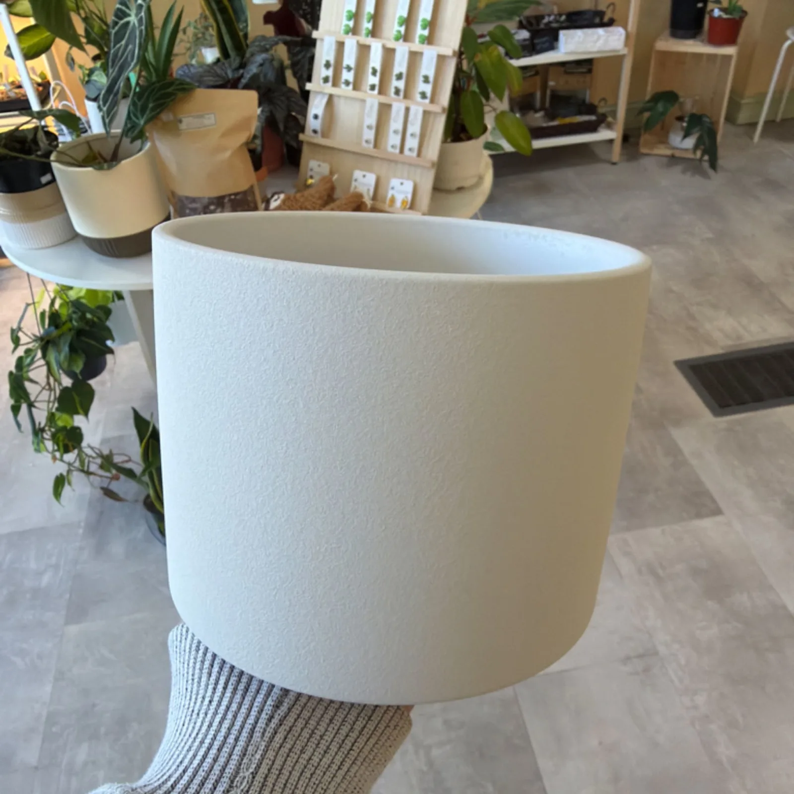 Matte Ash Grey 6" Pot displayed in modern retail setting with plants background