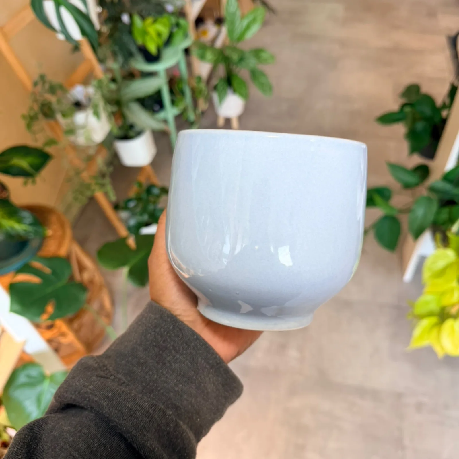 Ellis glossy white ceramic planter held in hand, surrounded by green houseplants.
