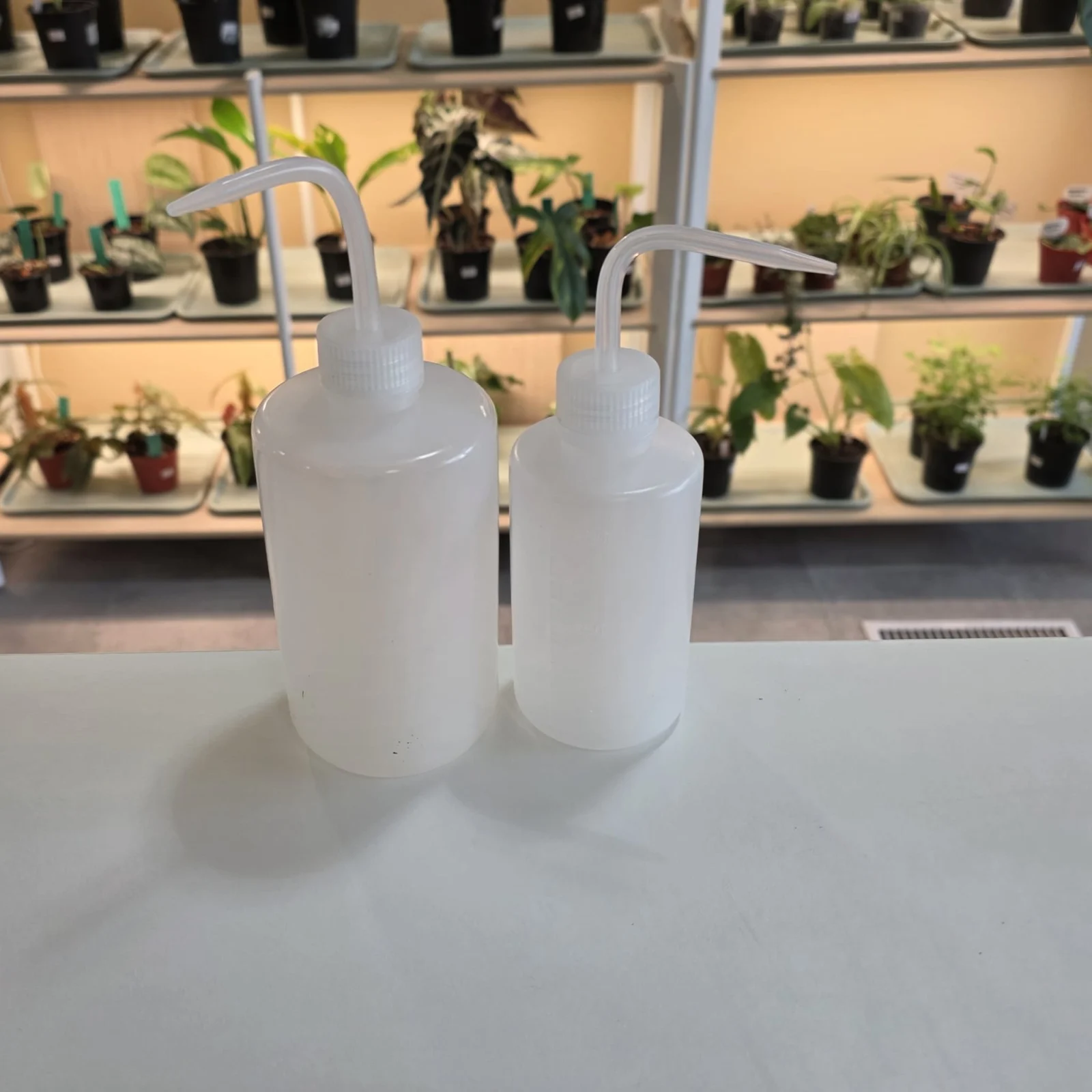 Two white plastic squeeze bottles with handles displayed in front of potted houseplants.