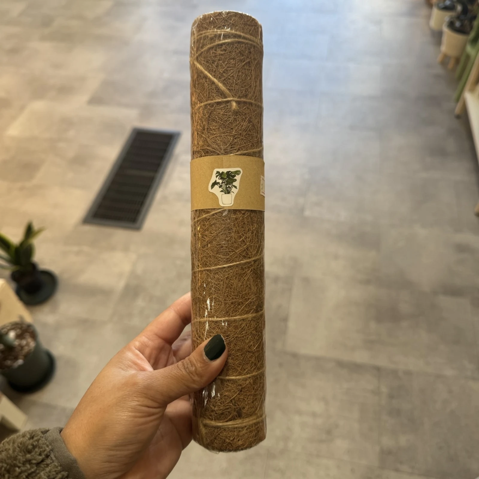 Coco Coir Pole 15.6 inches held in hand, natural fiber moss stick for climbing plants.