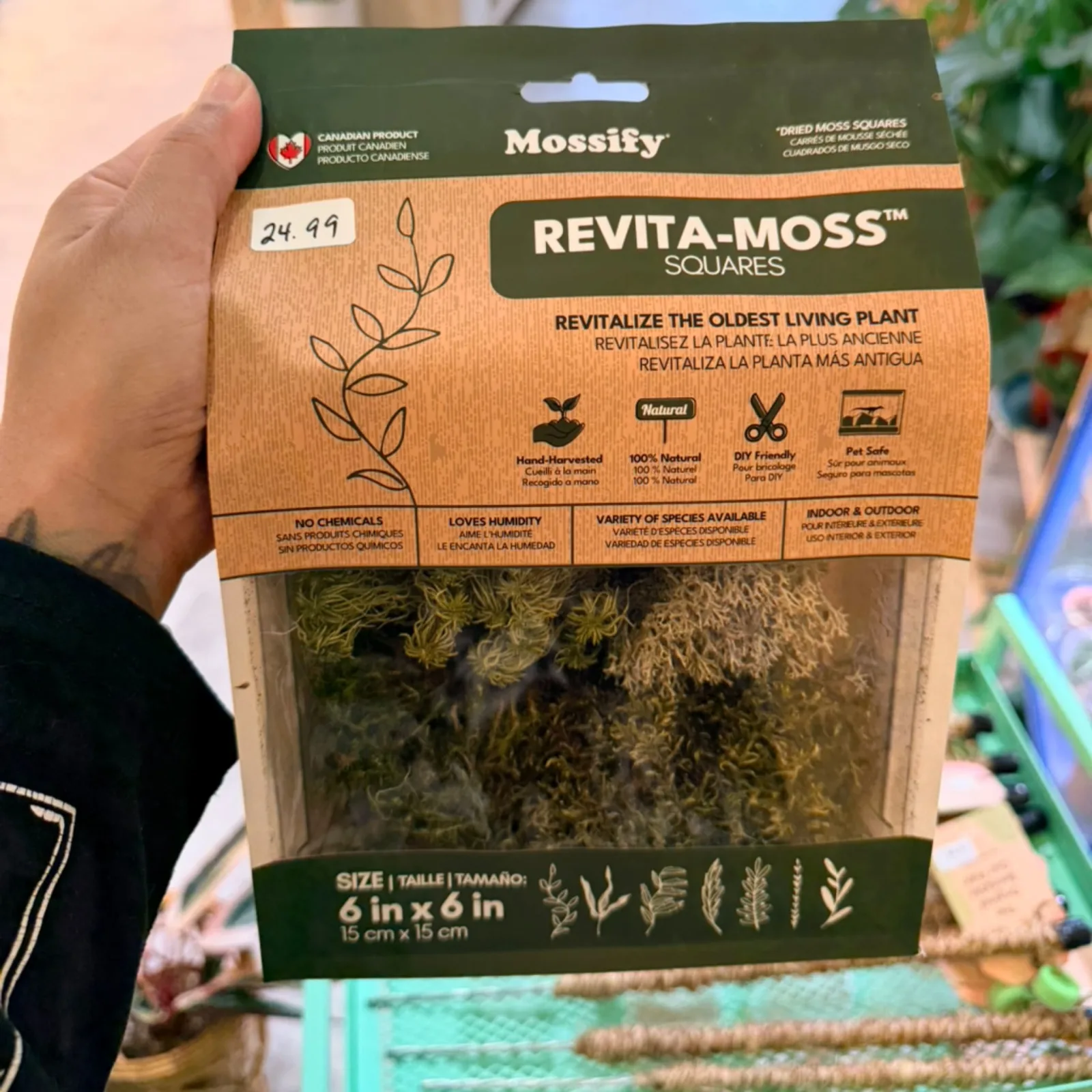 Mossify Revita-Moss Squares mixed moss pack for plant revival, 6x6 inches.
