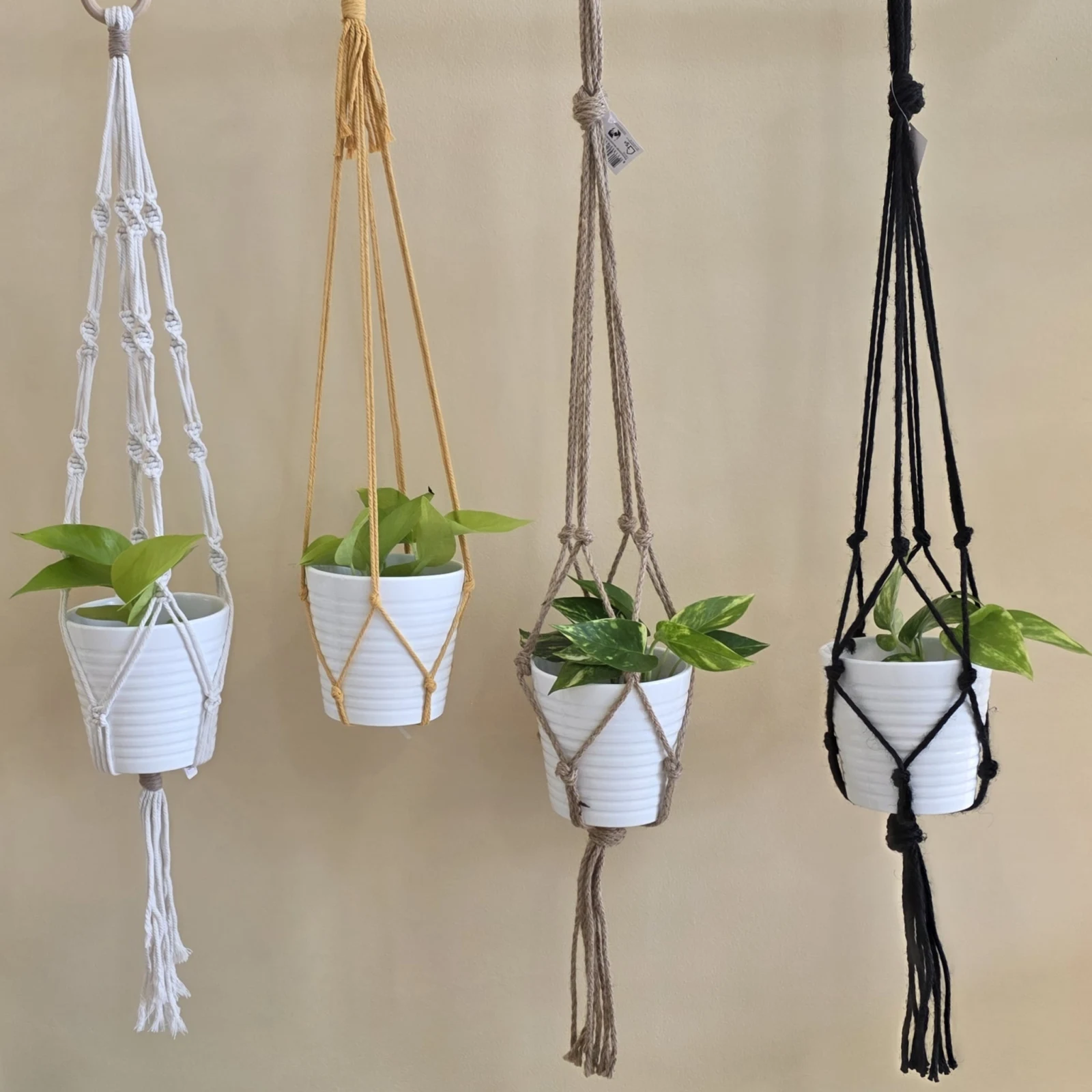 Macrame plant holder in white, tan, gray, and black with potted green houseplants