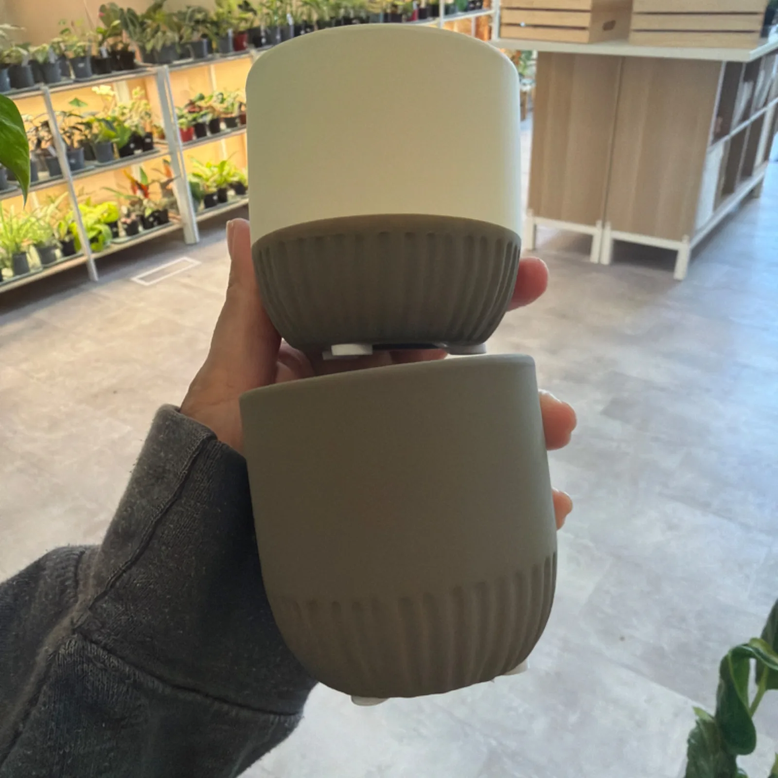 2.5" Matte Pot in cream and charcoal displayed in hand at garden center.