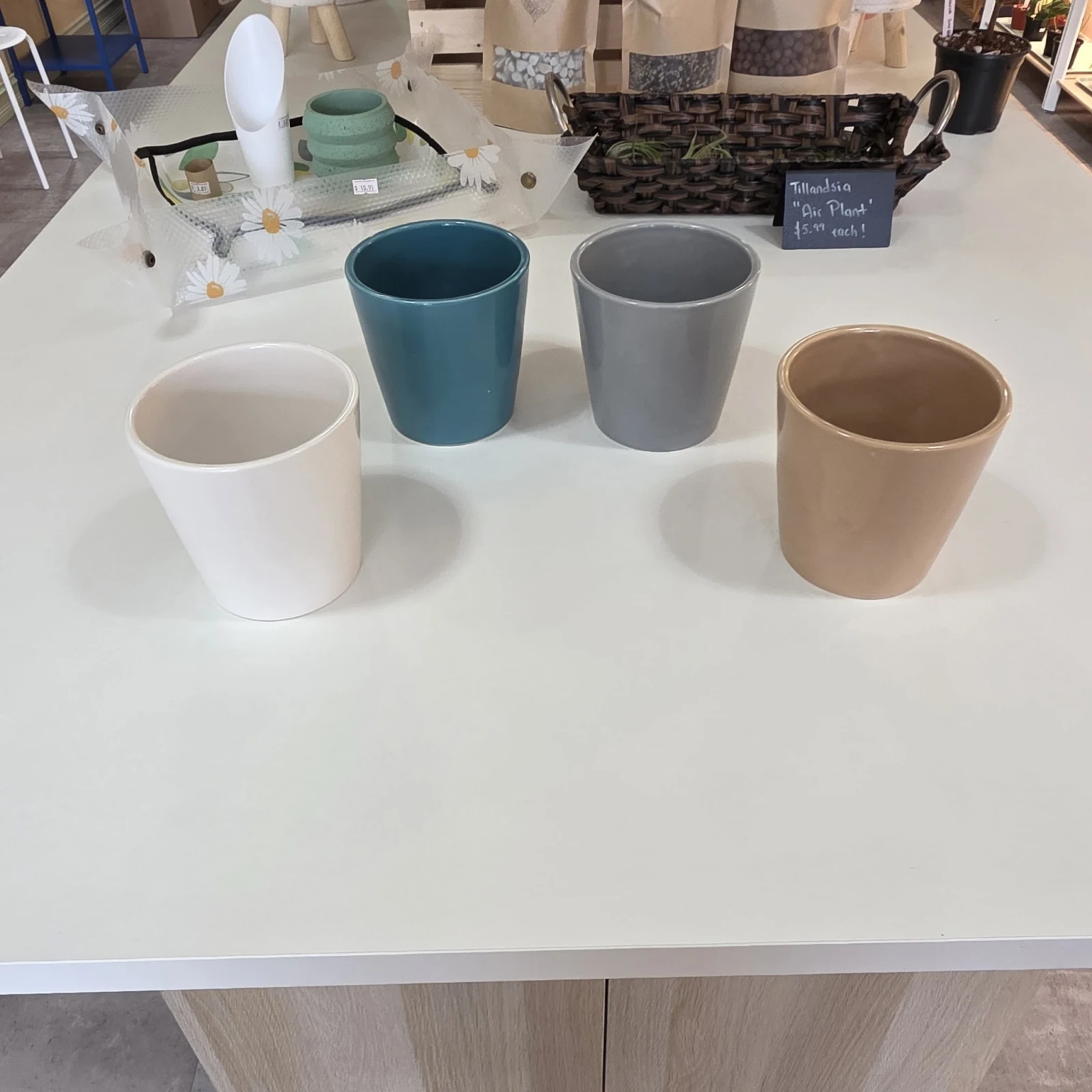 Pastel Pots 4.5" in white, teal, gray, and beige ceramic planters displayed on table.