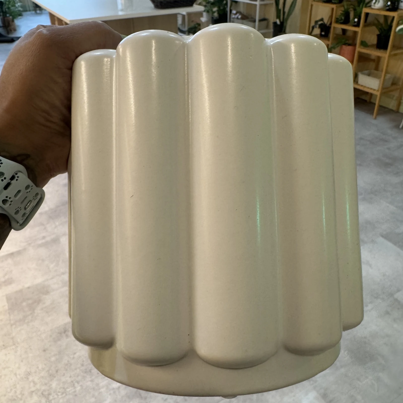 5.5" White Fluted Ceramic Pot with vertical ribbed design, held in hand.