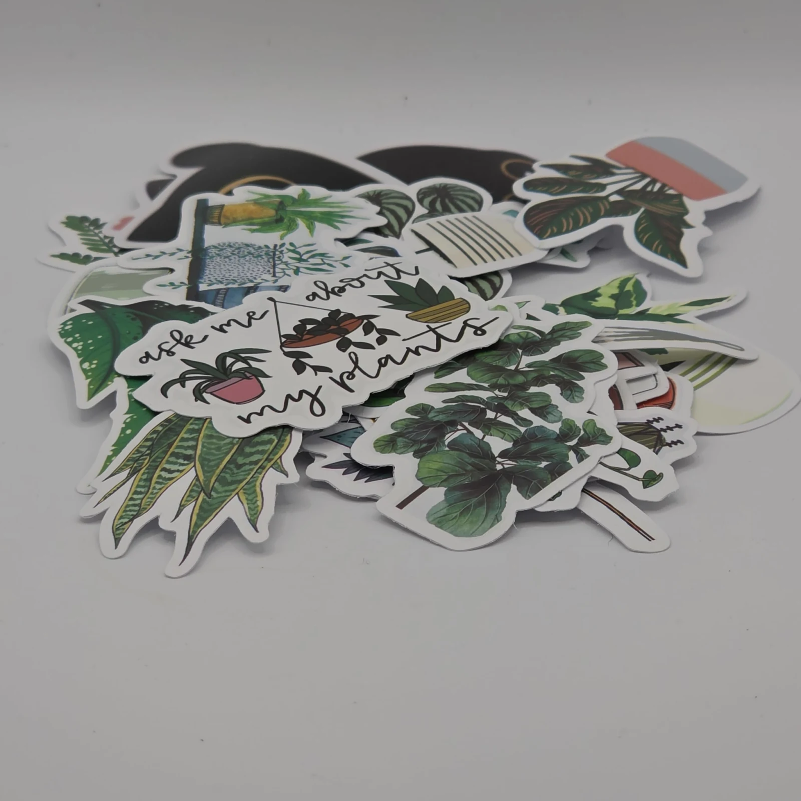 Houseplant stickers and sun catcher window decals featuring botanical designs and green foliage illustrations.