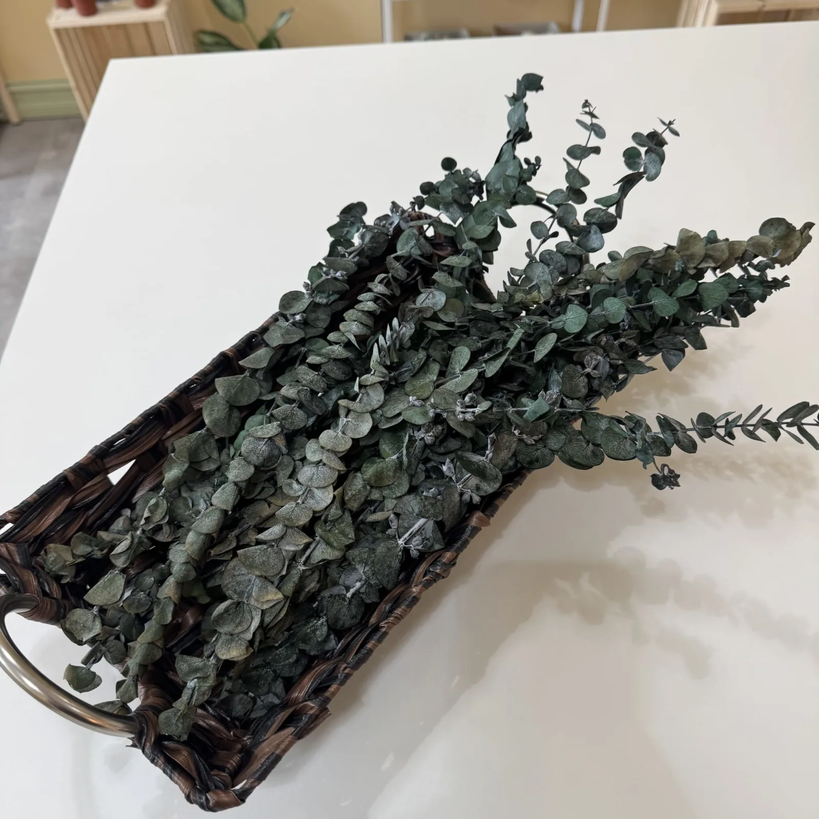 Dried Eucalyptus Stems bundle in dark wicker basket, gray-green foliage.