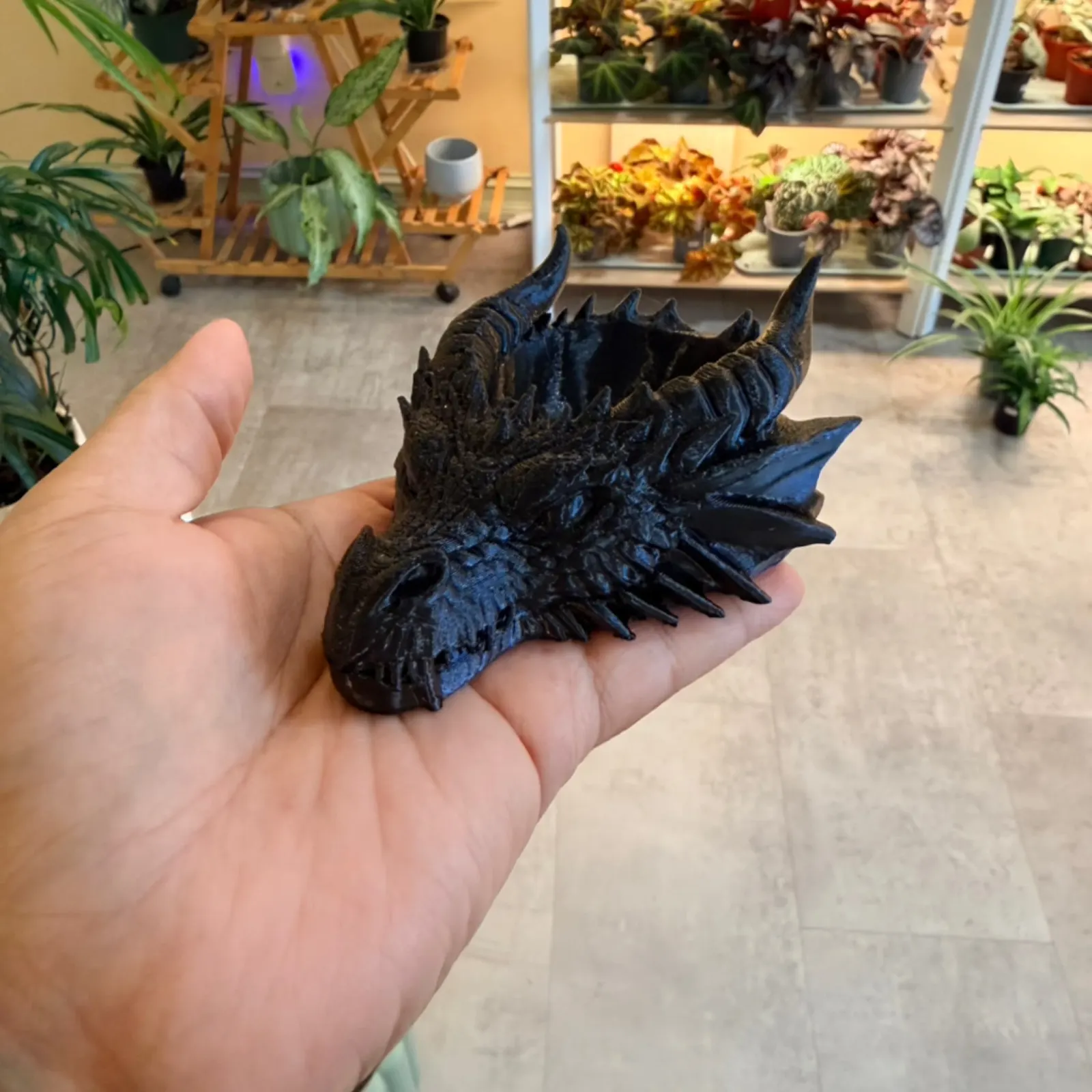 3D Dragon Head Succulent Planter Dish held in hand, black textured ceramic pot