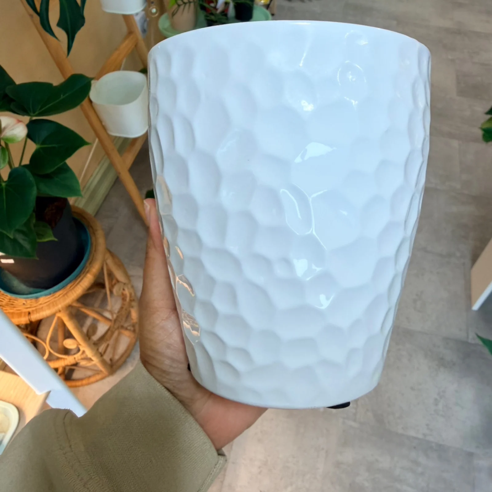 5" Dimpled Ceramic Pot white textured planter held in hand with plants nearby