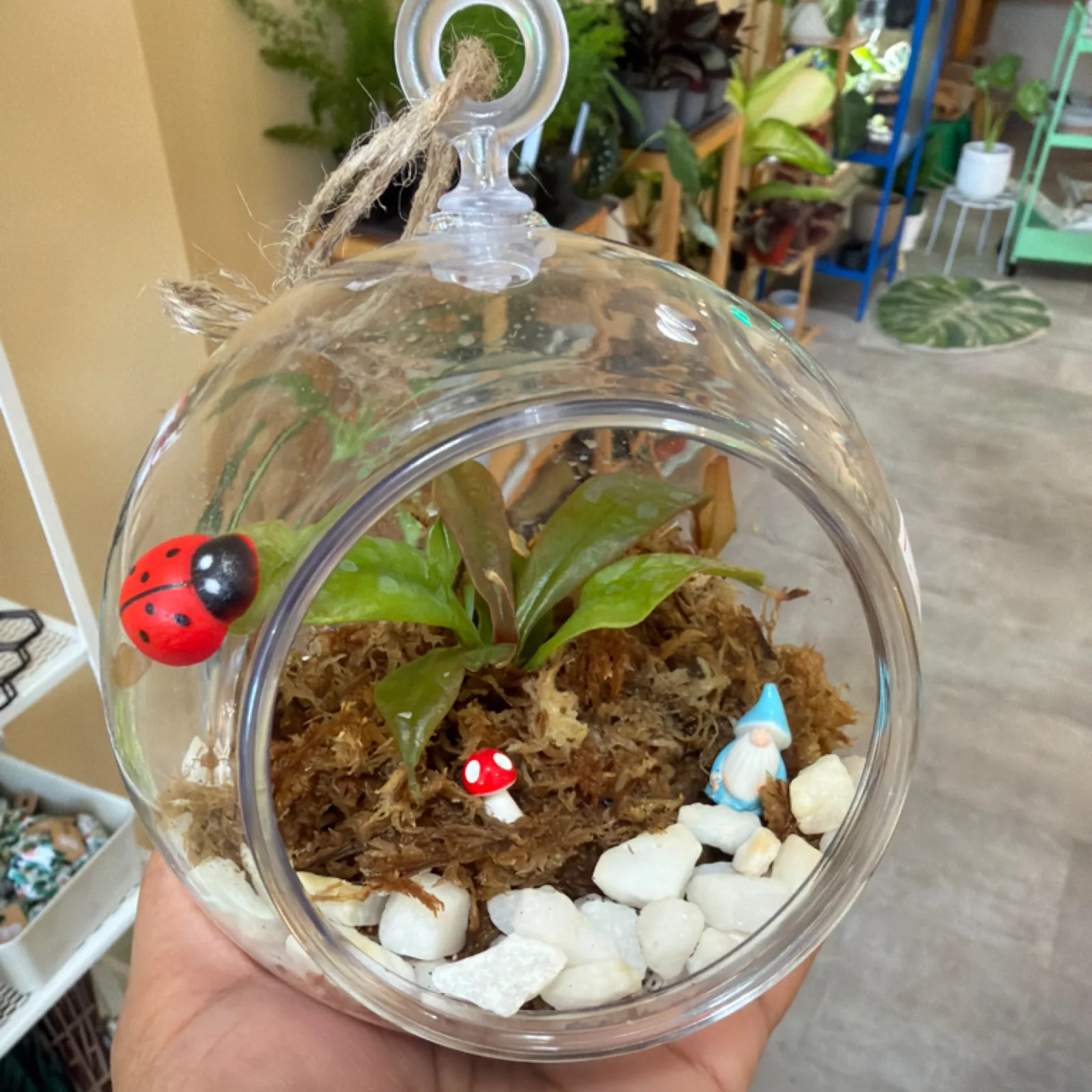 Pitcher Plant Terrarium in hanging glass globe with moss, soil, and decorative miniatures.