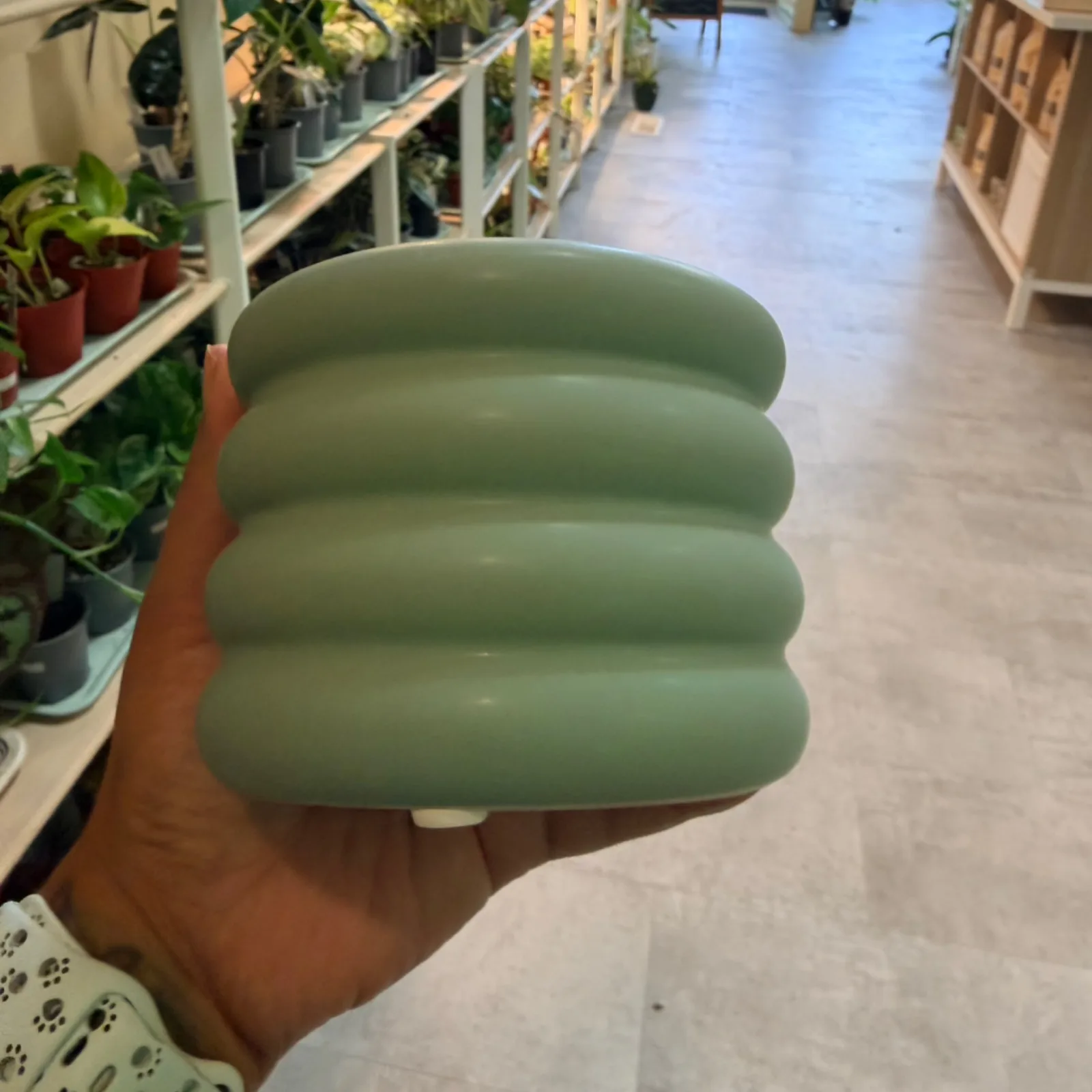 Sage green bubble pot 3.25 inch ceramic planter held in hand in plant nursery.