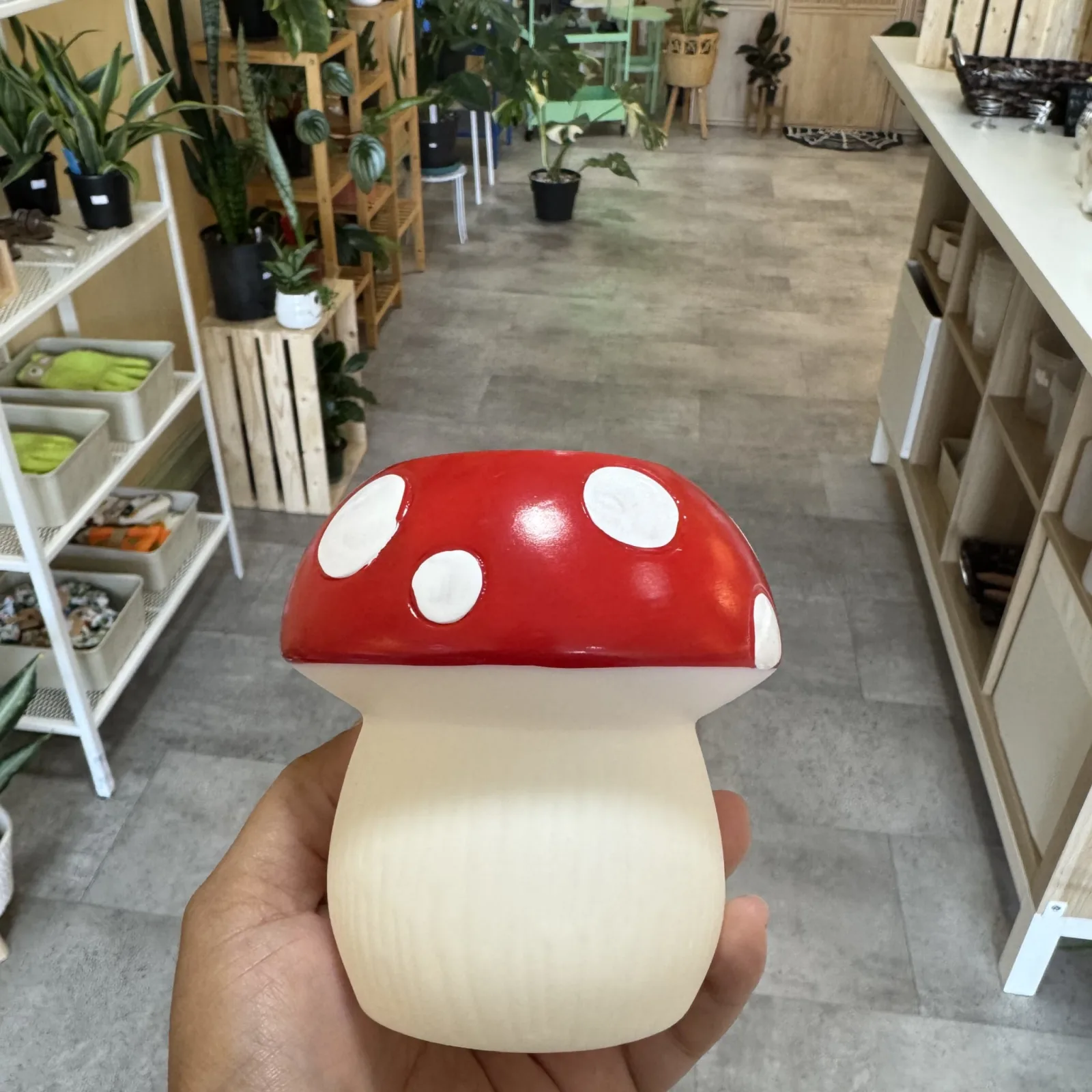 Mushroom Pot with red cap and white spots held in hand, plant store background