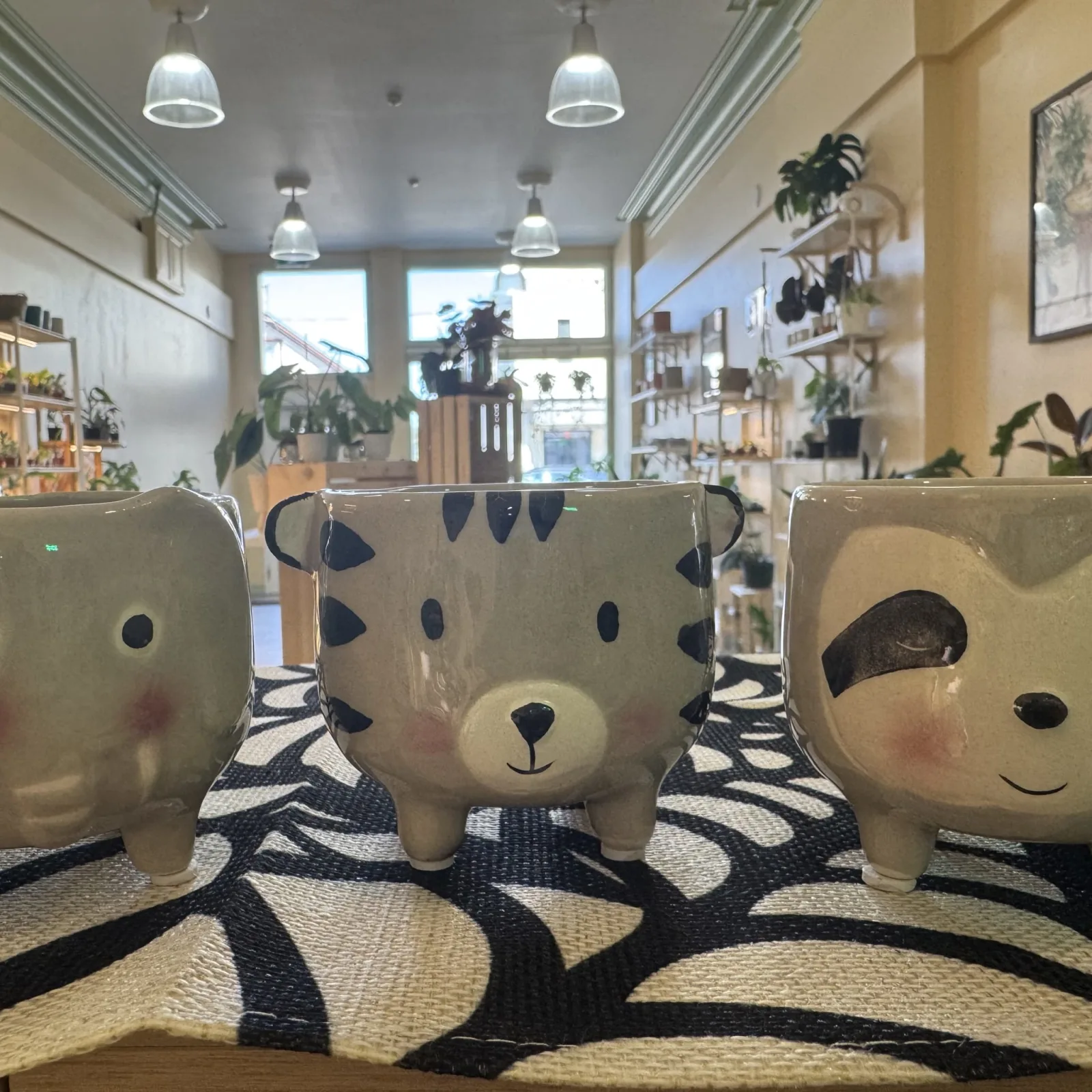 3" Grey Animal Ceramic Pot with cute face designs displayed on striped rug indoors