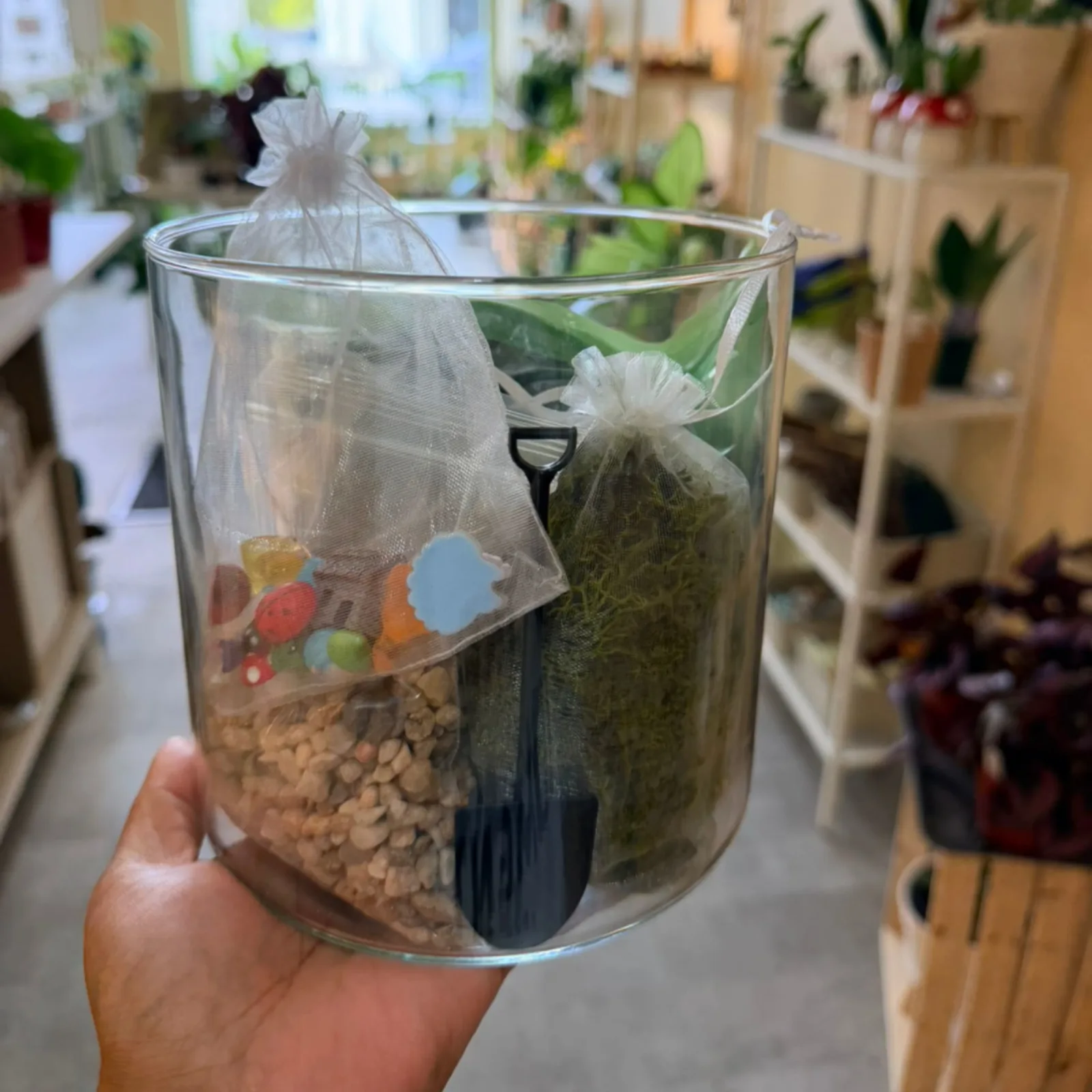 Terrarium DIY Kit in glass container with soil, moss, and decorative elements indoors.