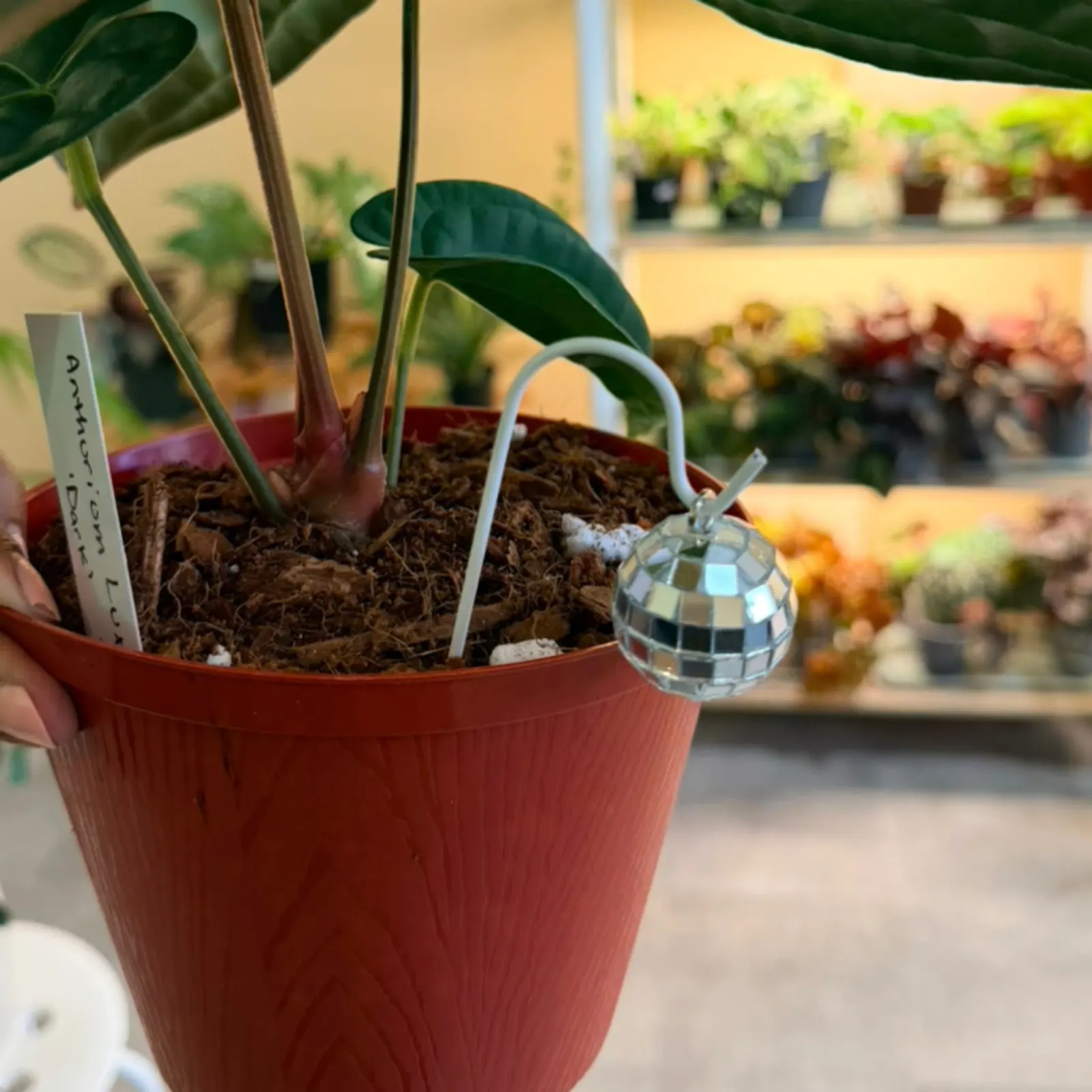 Disco Ball Plant Stake Decor in red pot with green leaves and decorative mirror ball stake.