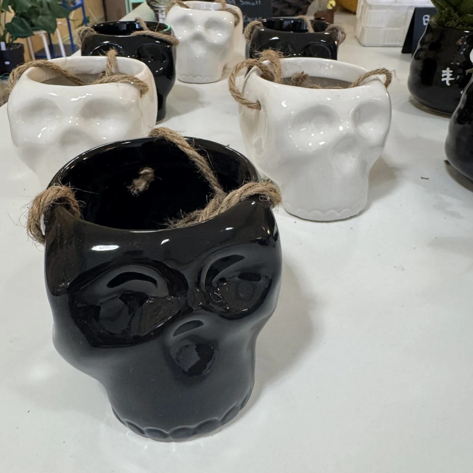 Hanging Skulls plant in decorative black skull-shaped ceramic pot with rope handle.