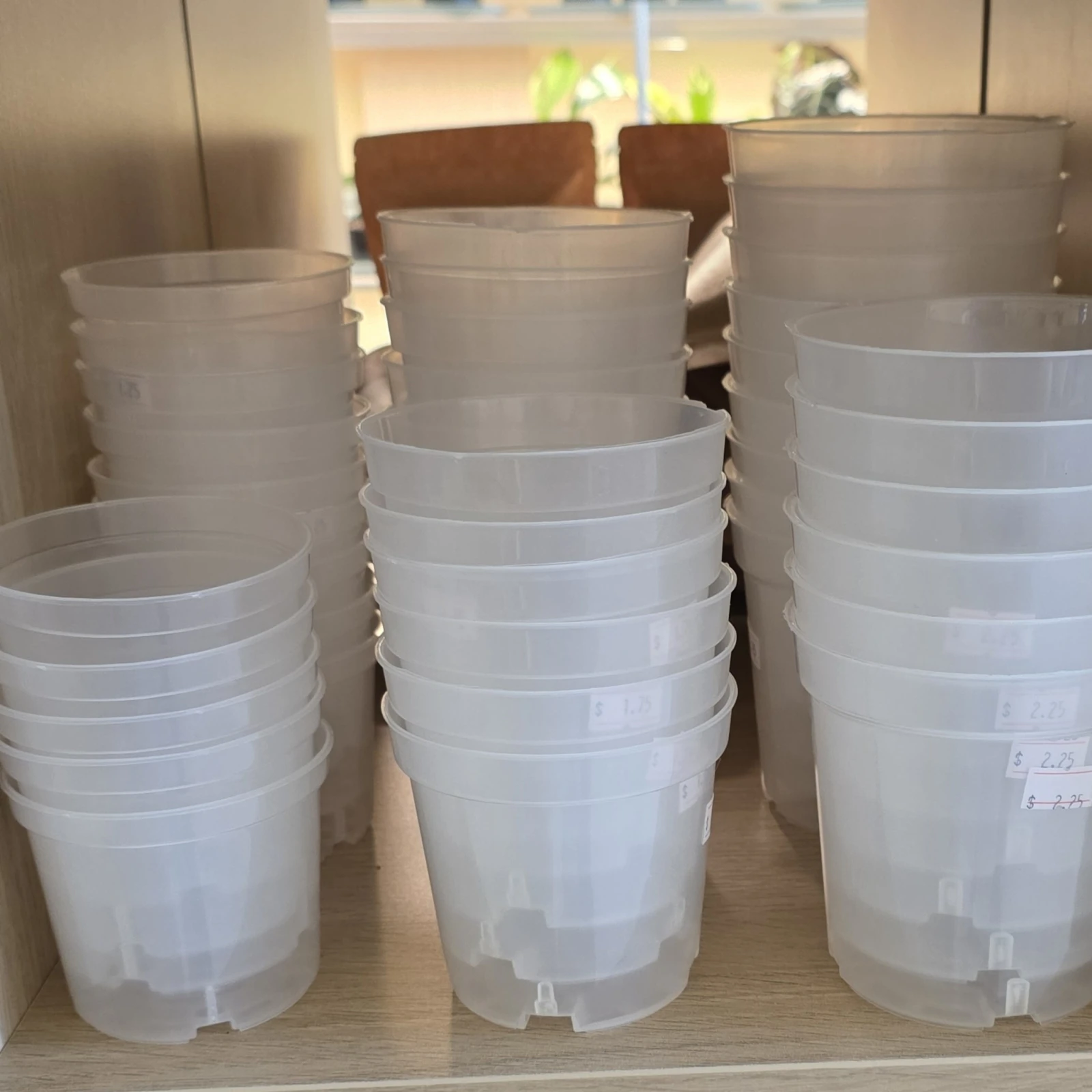 Clear Pots — image 2