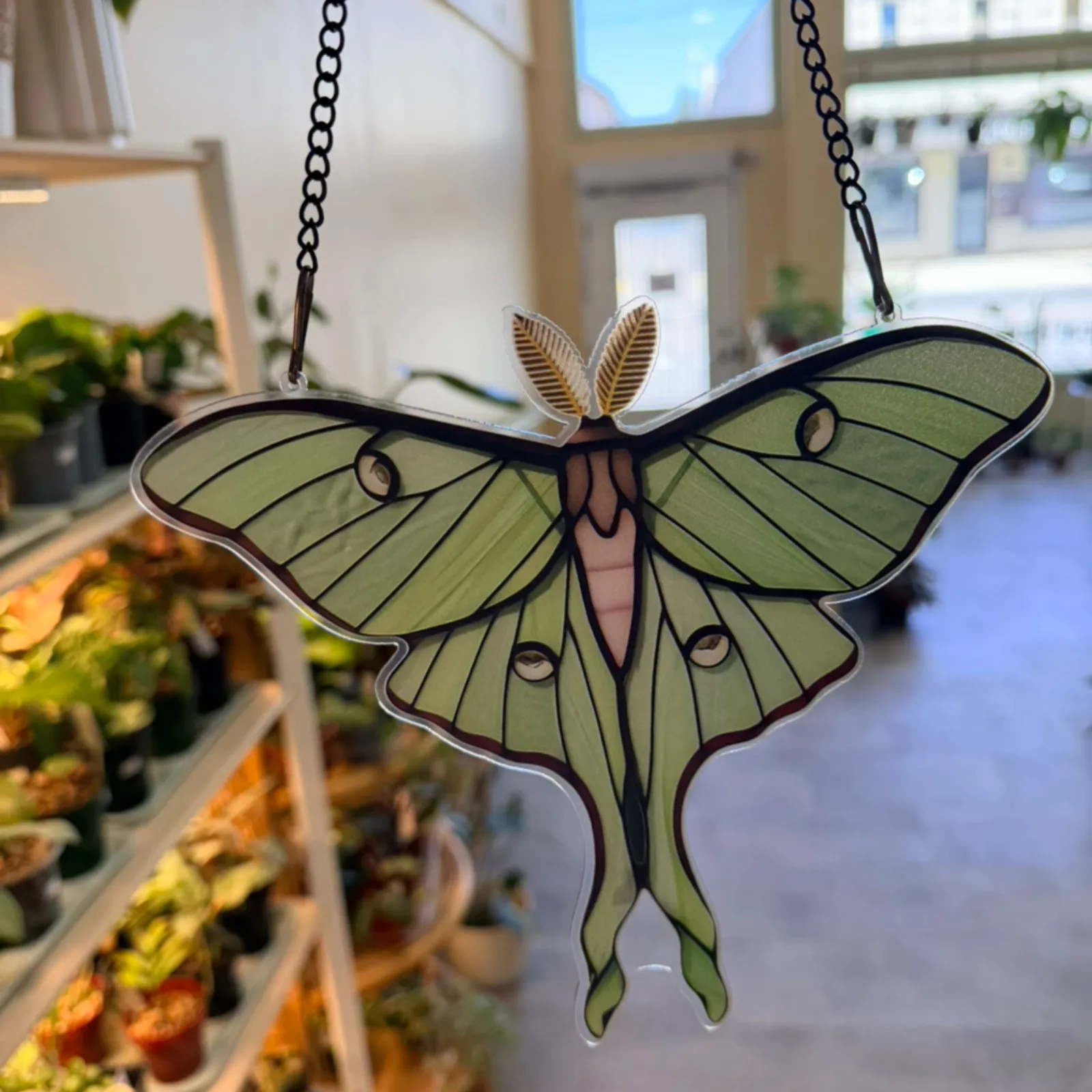Moth Sun Catcher hanging window decor with green wings and tan body displayed indoors.