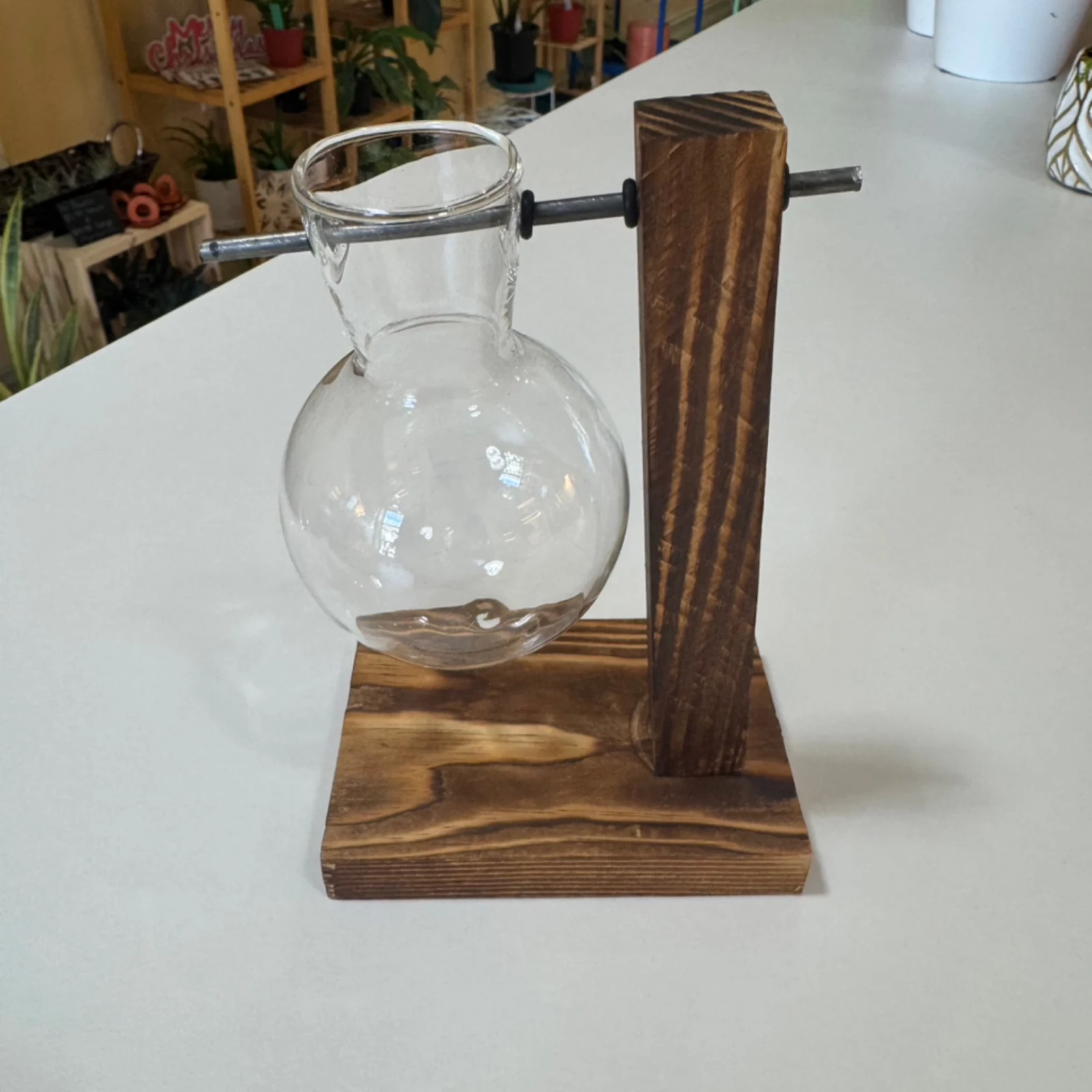 Propagation Wooden Base with 1 Glass Bulb plant propagation stand with clear glass vessel