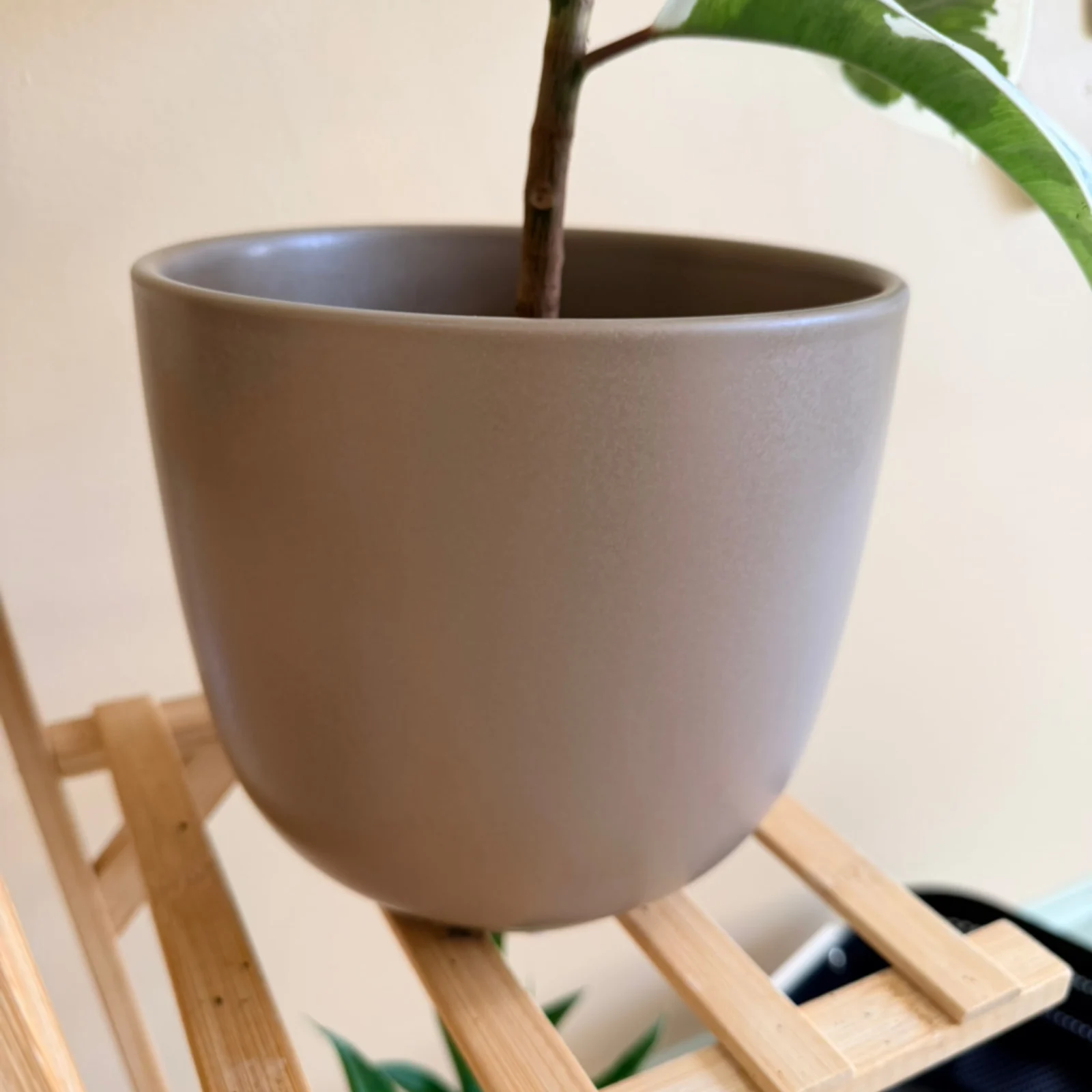 Matte Brown Pot with green plant stem and leaves on wooden stand.