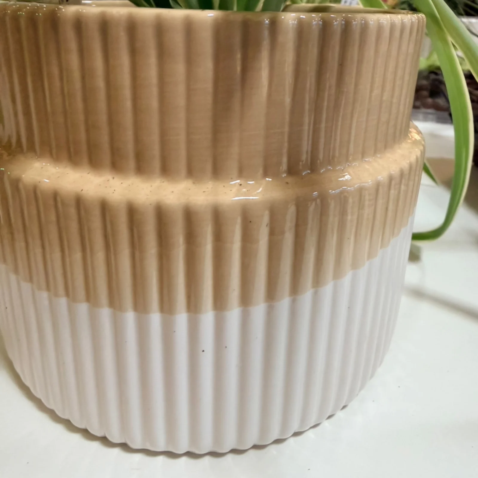 Ceramic 5" Neural Color pot with ribbed texture design in beige and white.