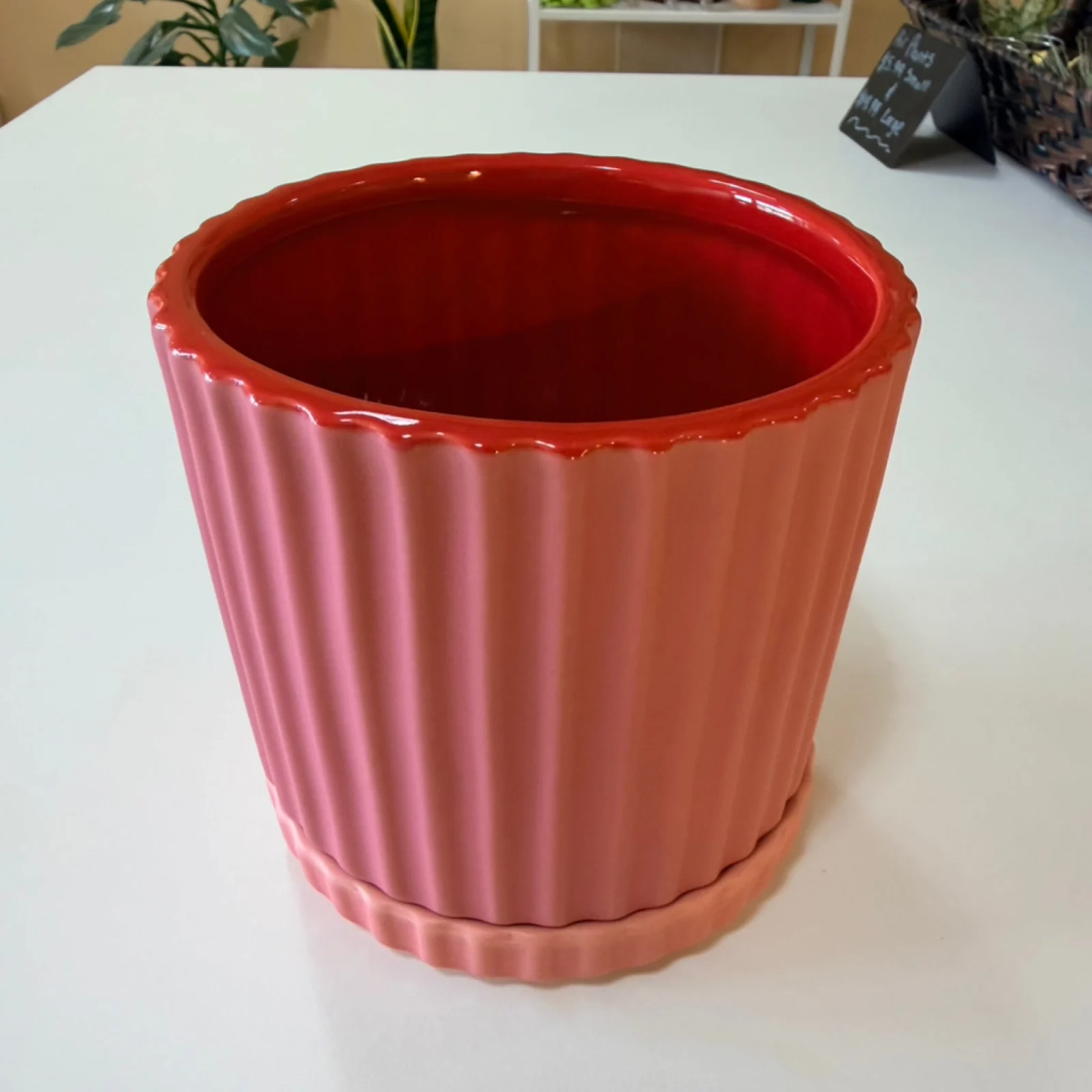 5" Pink Ribbed Pot with Drainage and Tray, empty ceramic planter