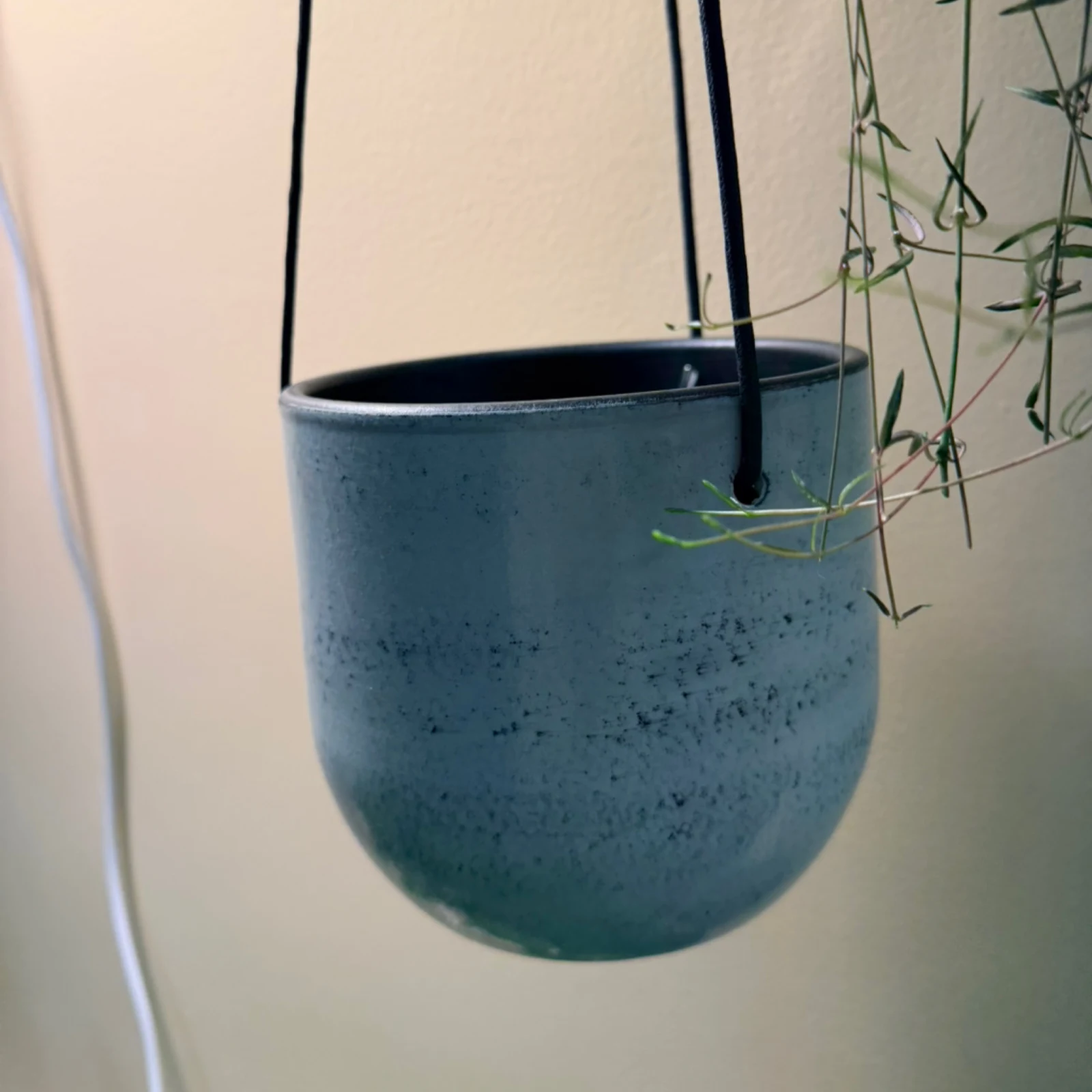 Blue Ceramic Hanging Pot with trailing green plant against neutral background