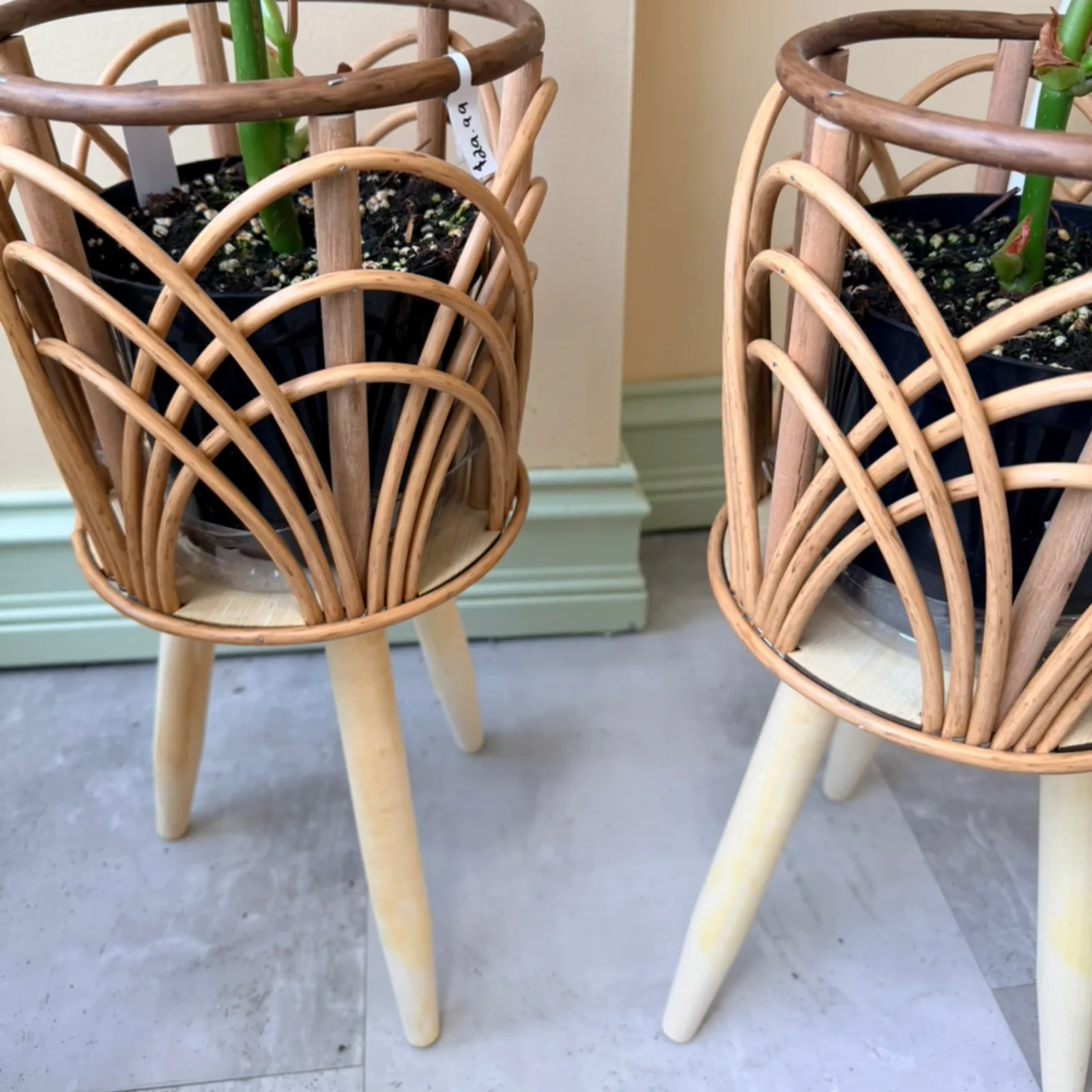 Nordic Style Plant Pot W/Legs Large with green plant and woven wooden design