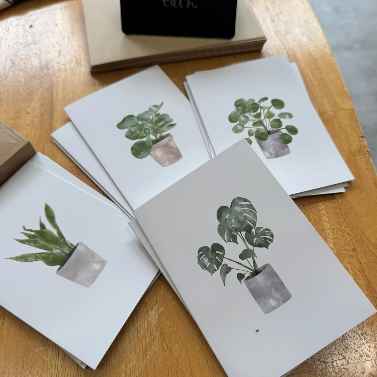 Blank Plant Theme Cards featuring potted houseplants in watercolor botanical illustrations.