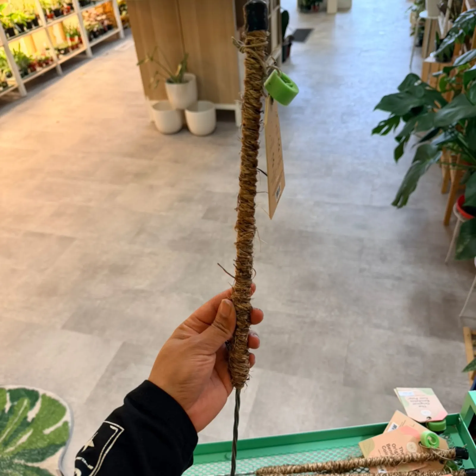 Mossify Canada 16" Pole moss stick plant support held in hand at garden center
