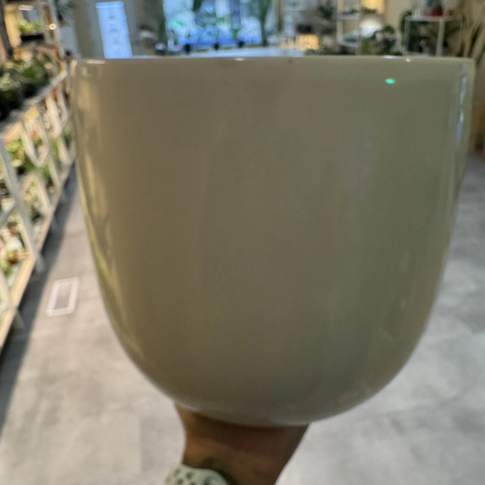 8" White Ceramic Pot for houseplants, smooth glazed finish, modern minimalist design.