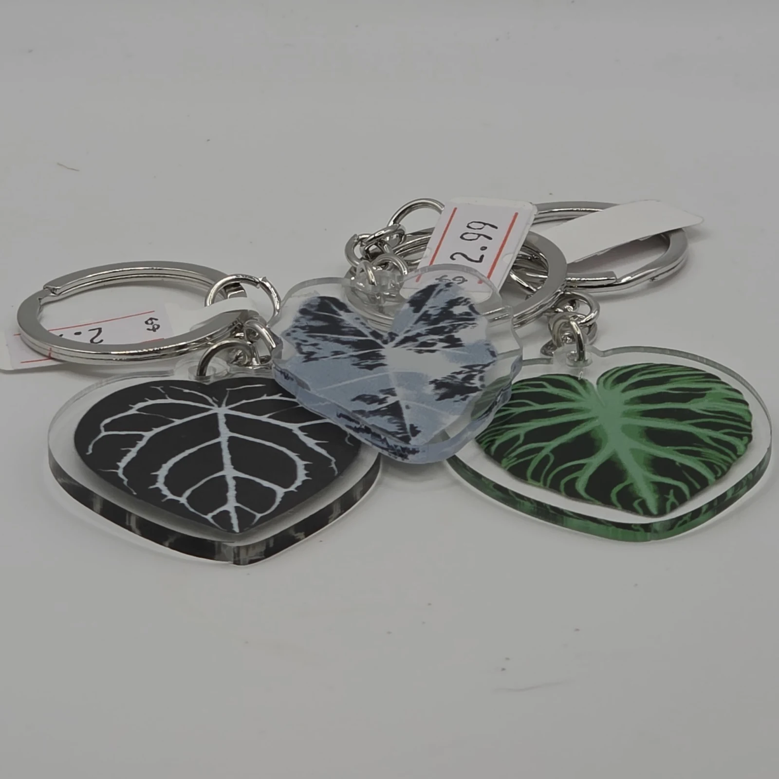 Houseplant keychain with three leaf-shaped acrylic charms in black, blue, and green designs.
