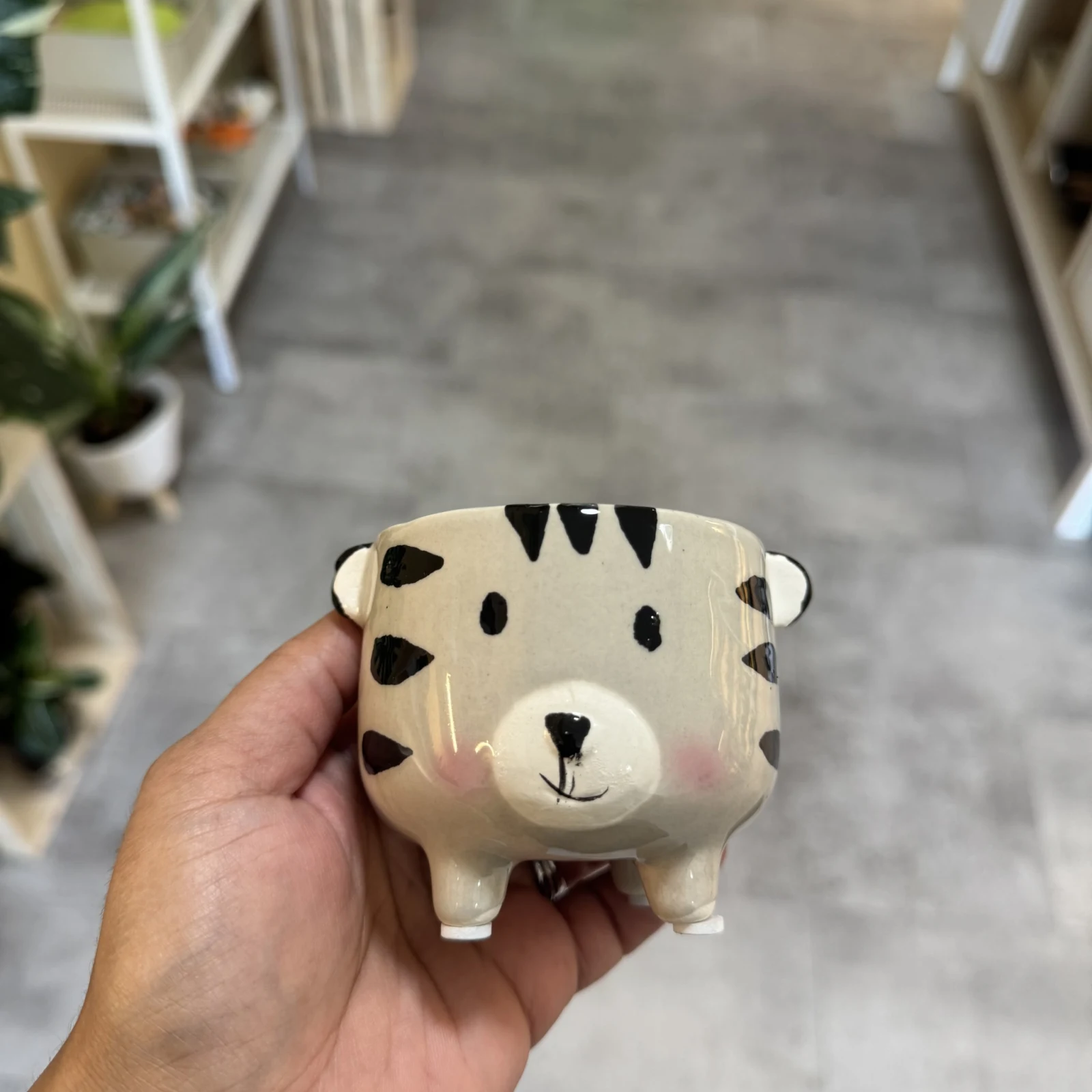 3" Grey Animal Ceramic Pot with cute face designs displayed on striped rug indoors