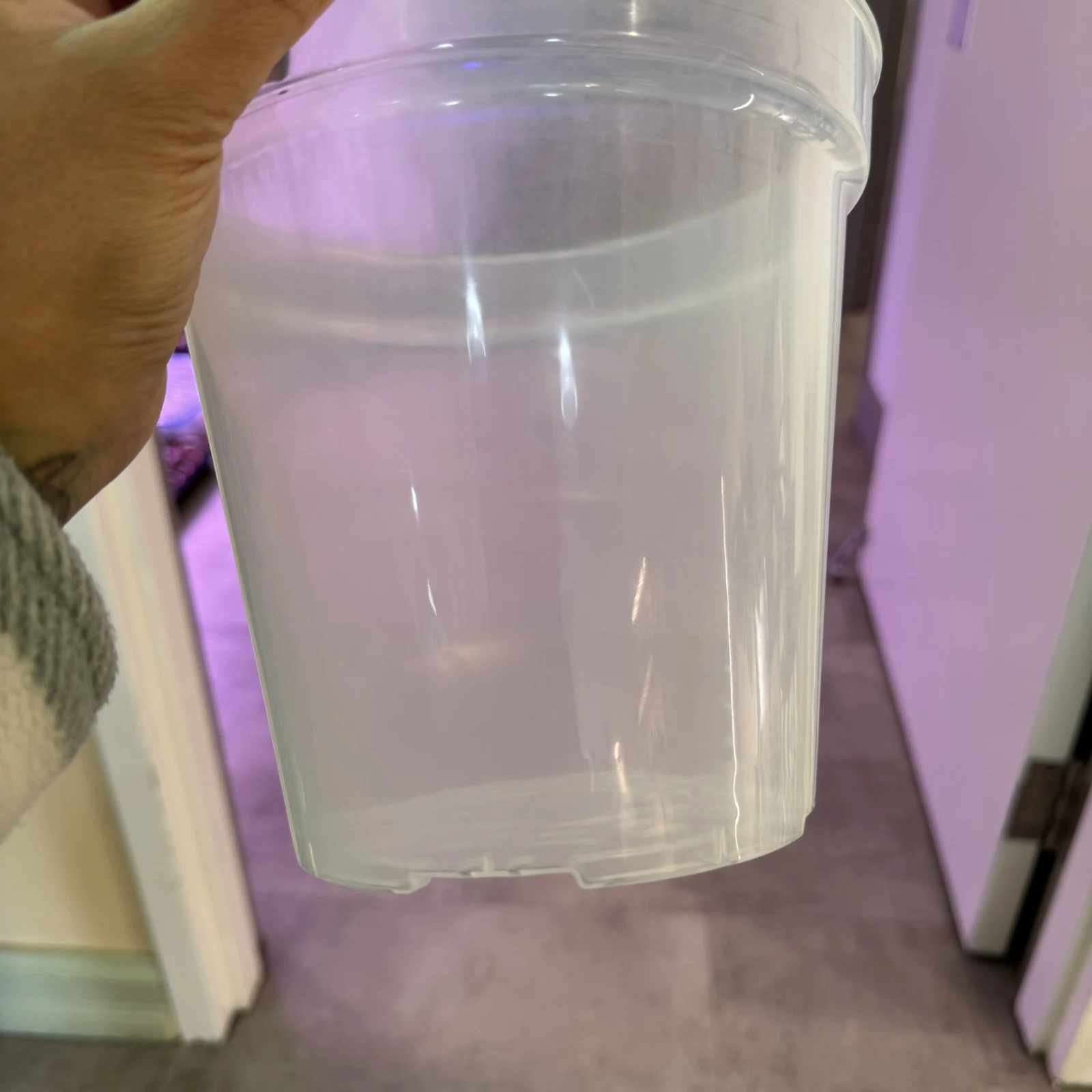 Clear Pots stacked together on shelf, transparent plastic containers for plants.