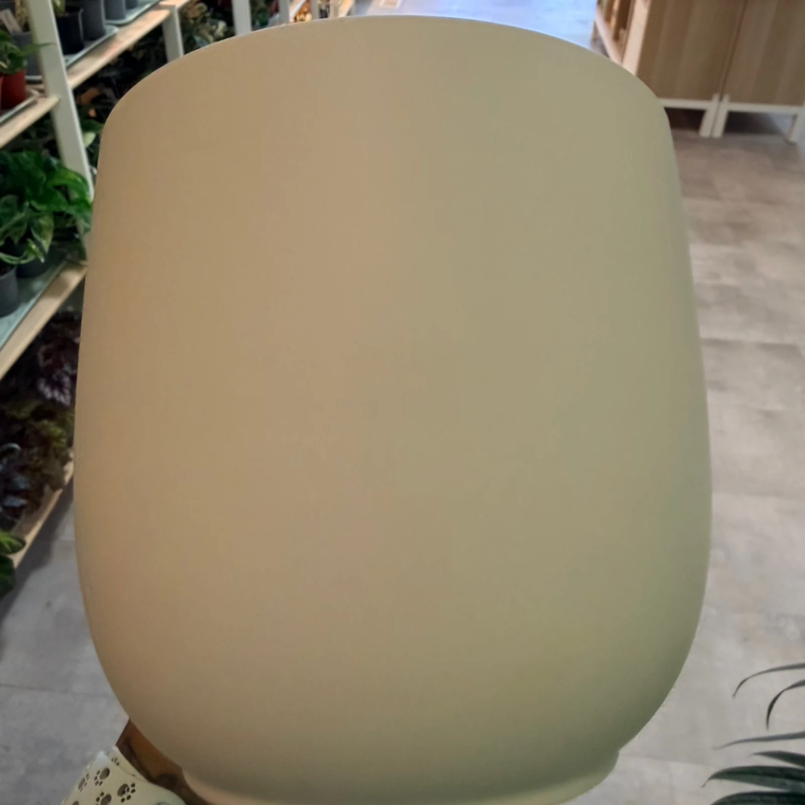 Matte Ash White 6" Pot ceramic planter displayed indoors on floor